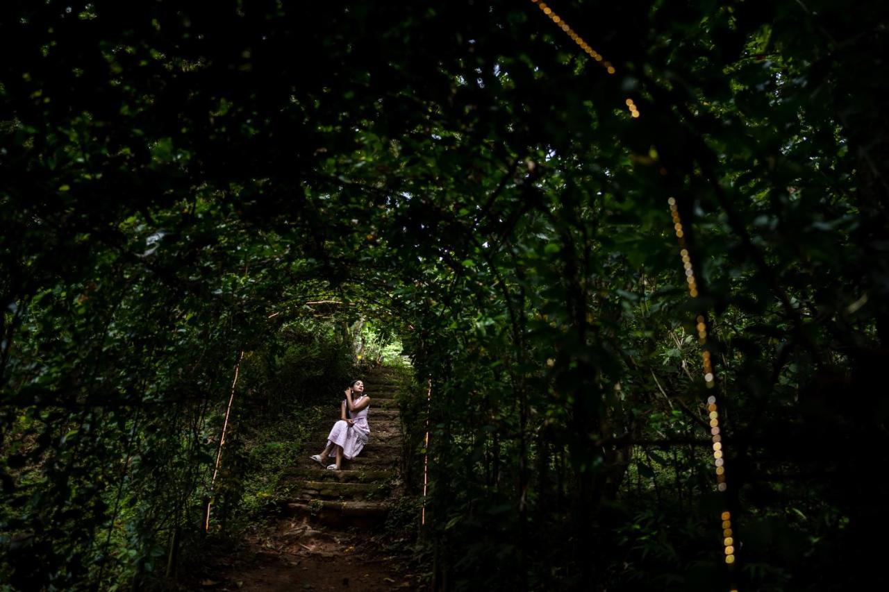 Raindrops Resorts Wayanad Sultan Bathery Esterno foto