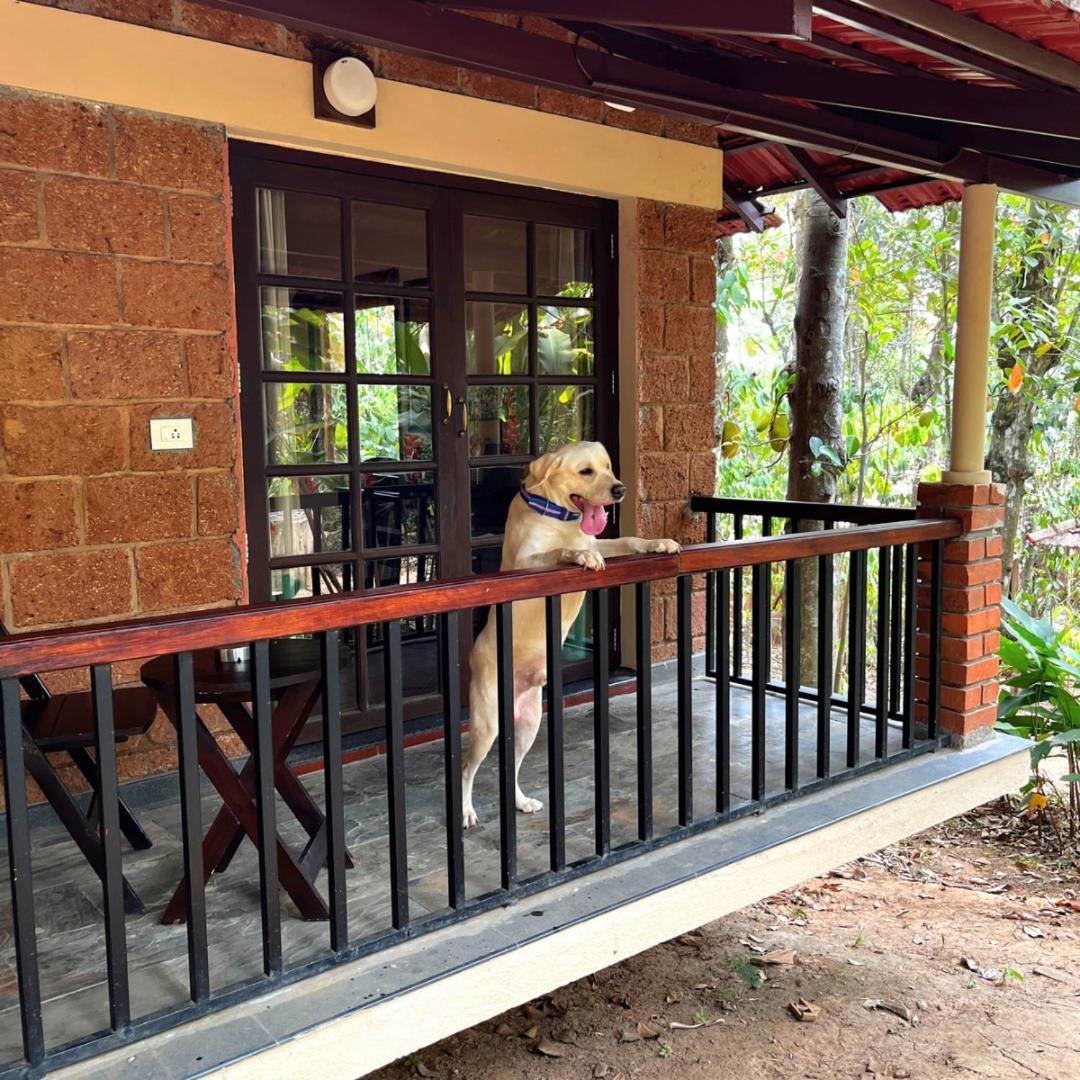 Raindrops Resorts Wayanad Sultan Bathery Esterno foto