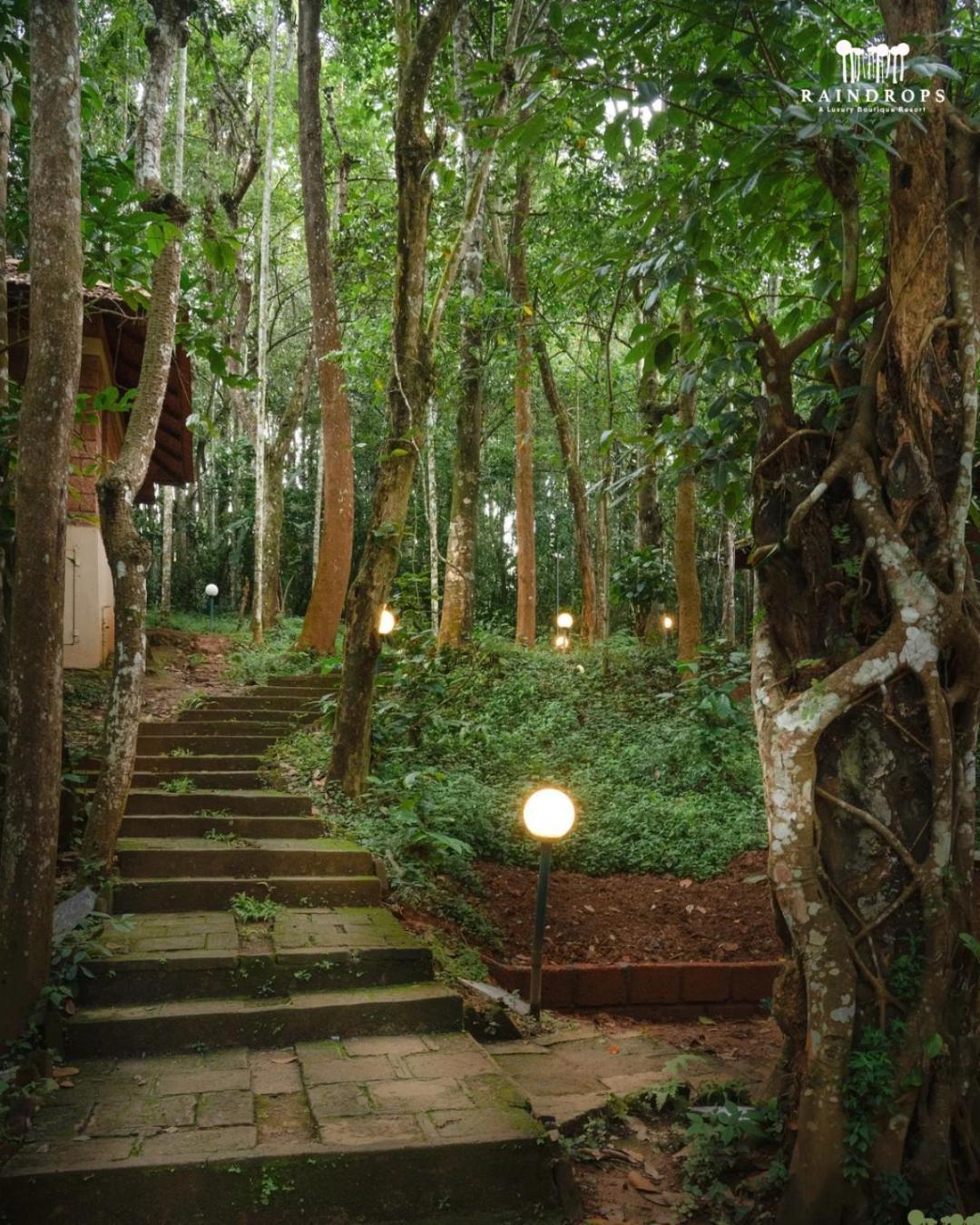 Raindrops Resorts Wayanad Sultan Bathery Esterno foto