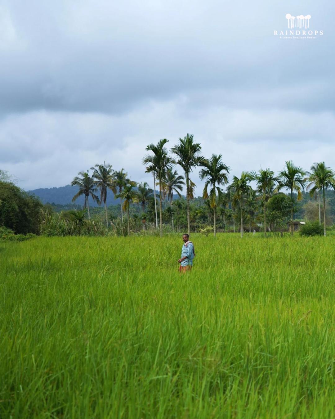 Raindrops Resorts Wayanad Sultan Bathery Esterno foto