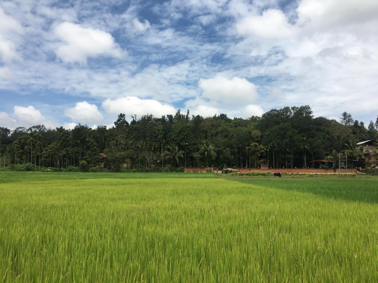 Raindrops Resorts Wayanad Sultan Bathery Esterno foto